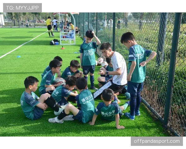 青训规则详解：促进青少年足球发展与培养标准规范